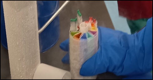 Cryopreservation.jpg