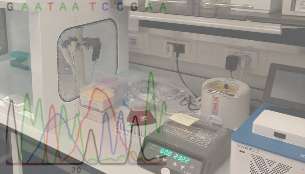Mouse genotyping PCR service.