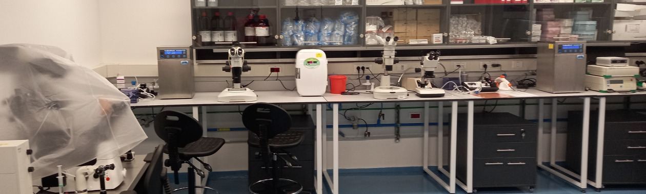 lab